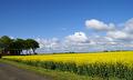 Jurist Handhaving en Veiligheid